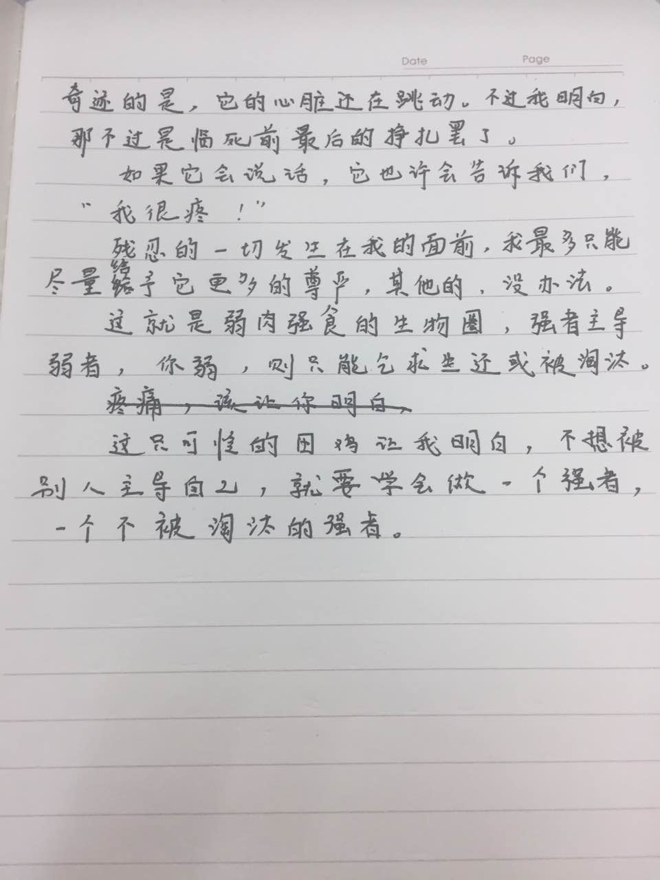 大学生解剖青蛙,大学生练习解剖青蛙