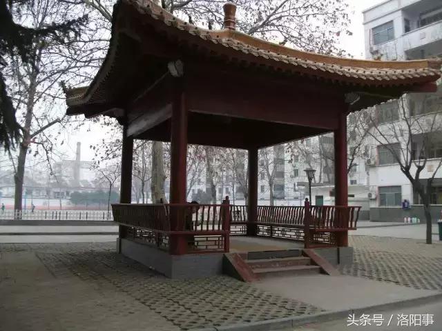 洛阳最有魅力的高中,洛阳市最牛逼的高等专科学校