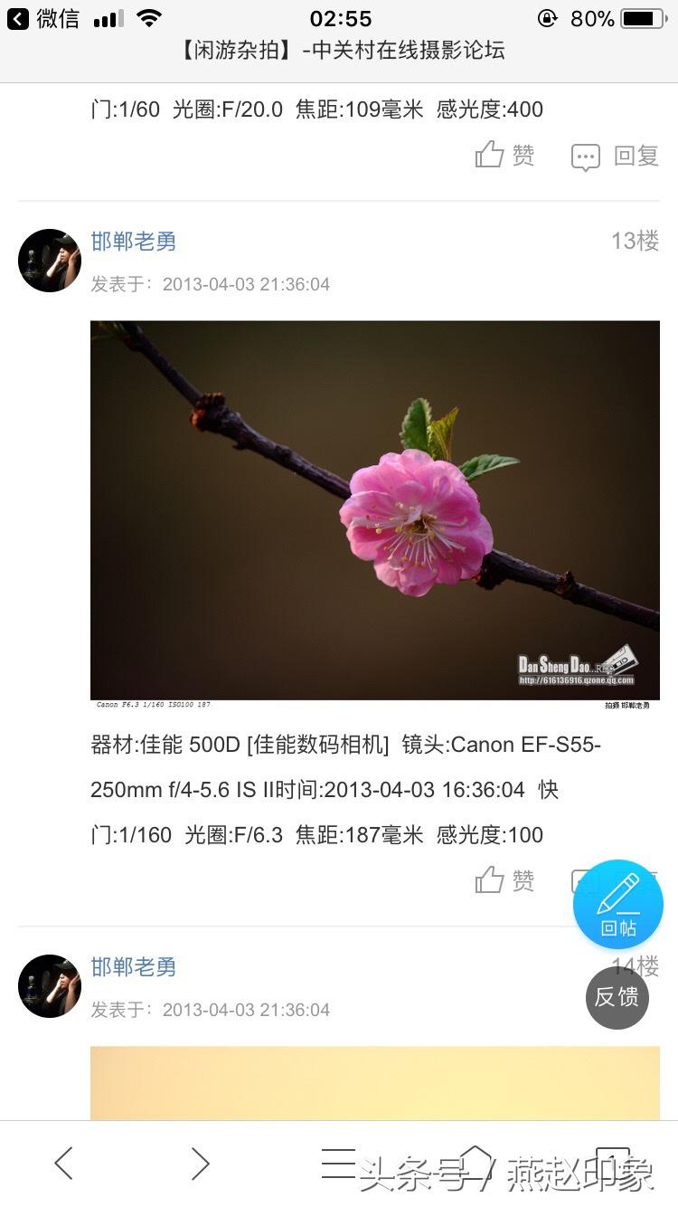 爱上摄影的苗子,爱上摄影的经历