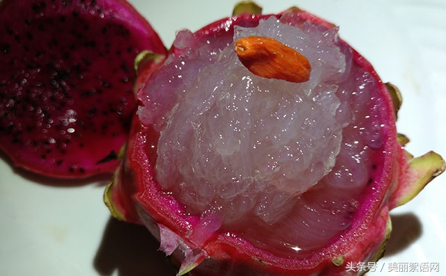 燕窝怎么炖学会这些小细节,炖出一碗美味燕窝不是问题