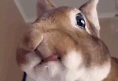 做个美美的小仙女每天进步一点点,做个美美的小仙女是要付出代价的