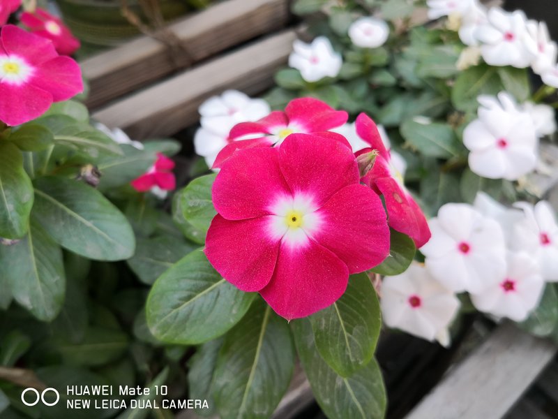 华为mate10深度上手体验,用了一年的华为mate10感觉如何