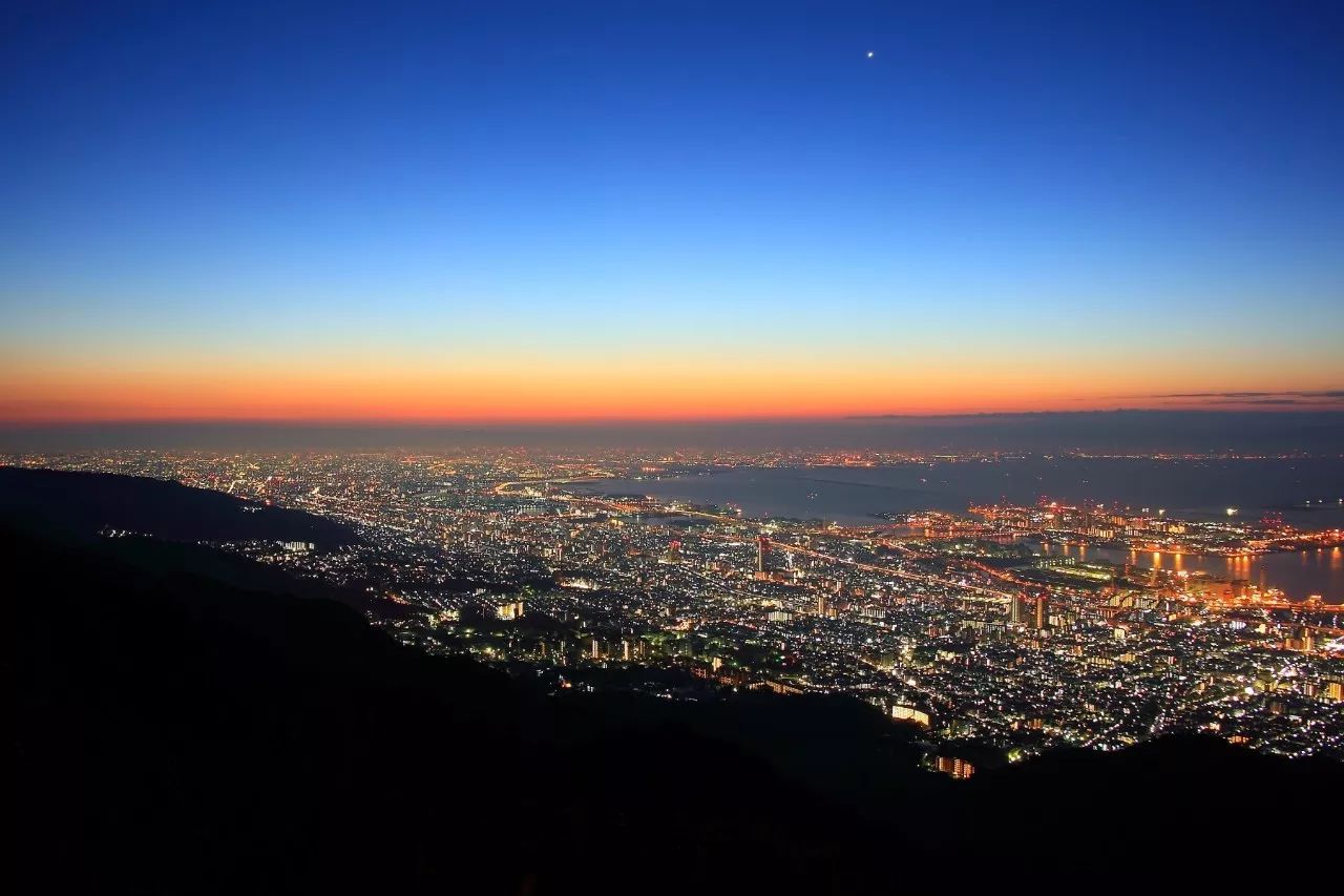 全家出游哪种旅行方式最合适,全家游怎么样游好