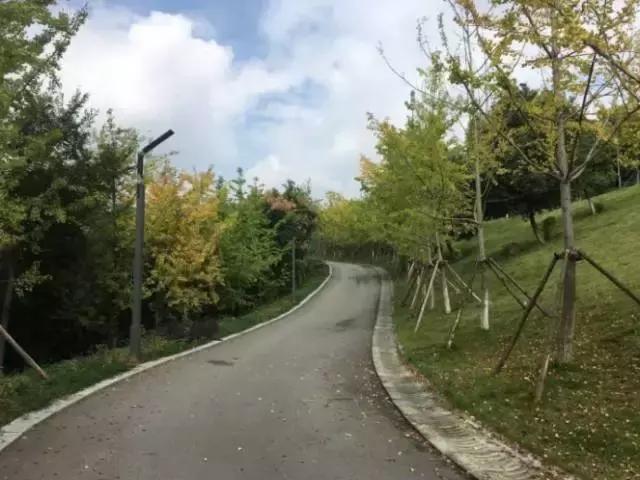 宜昌的四大美女之一是谁,四大美女你最喜欢哪个