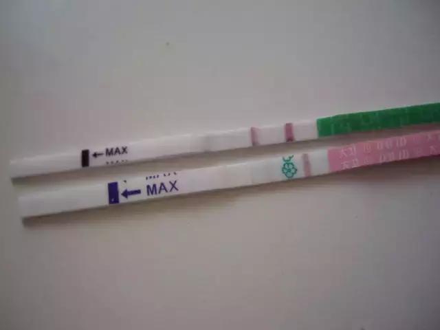 找到排卵期的正确方法!造人一发就中!