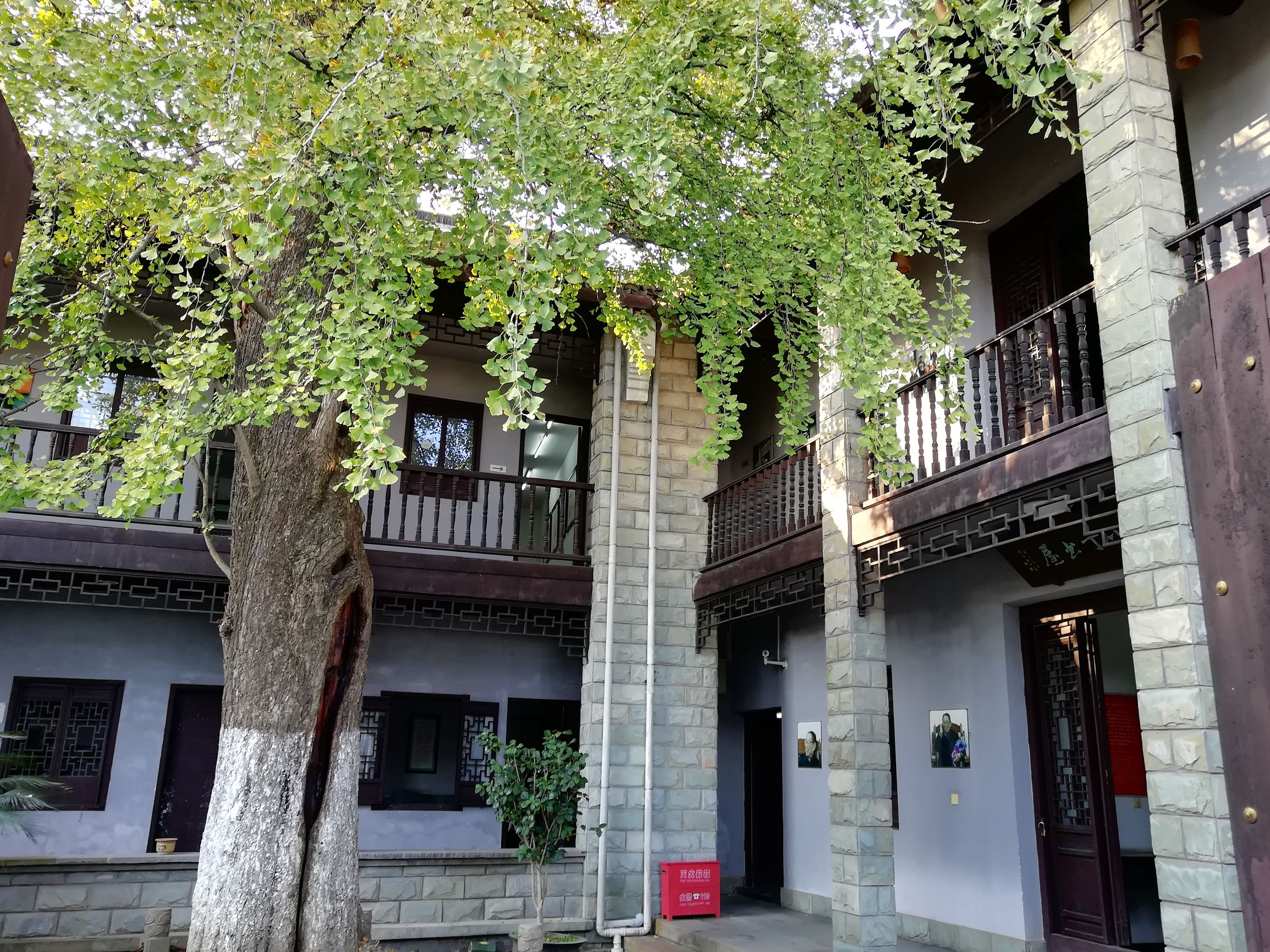 上海好玩地方推荐枫泾古镇,上海金山枫泾古镇地址