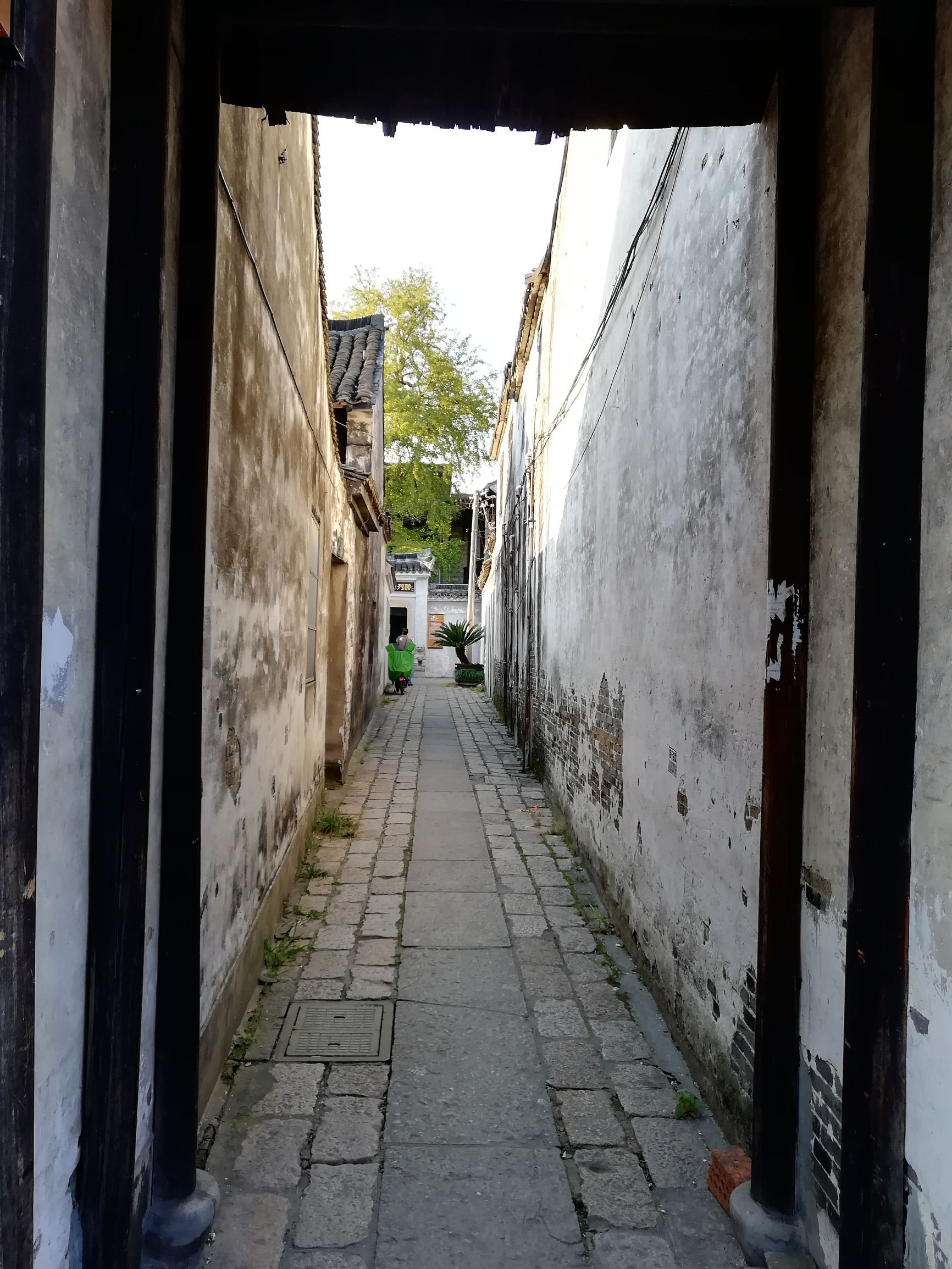 上海好玩地方推荐枫泾古镇,上海金山枫泾古镇地址