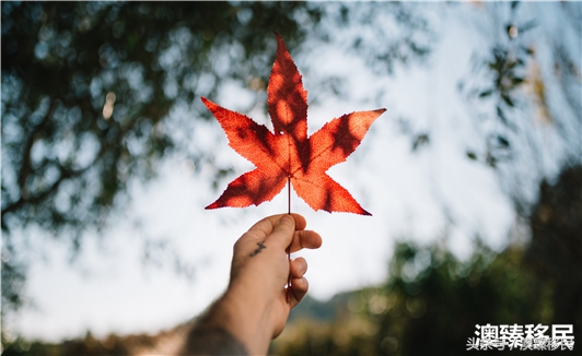 加拿大移民生活比想象中好得多，事实真的是这样吗？