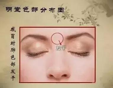 面诊鼻头发黑,中医面诊之鼻