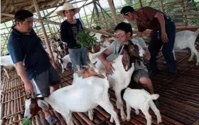 想创业没有资金怎么找人投资,借贷创业可行吗