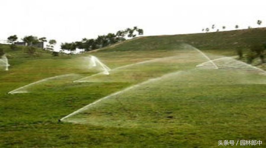 草坪秋季施肥的最佳种类,秋季草坪如何管理