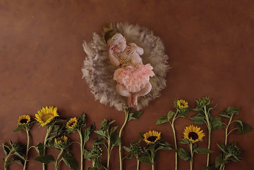 胎停两月后再怀,教训和升级经验都写这了