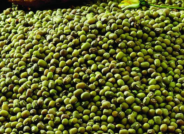 绿豆汤煮开花和不煮开花的区别,绿豆汤解毒是煮开花还是不开花