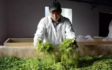 起步创业没有资金如何贷款,想创业没有钱的最好方式