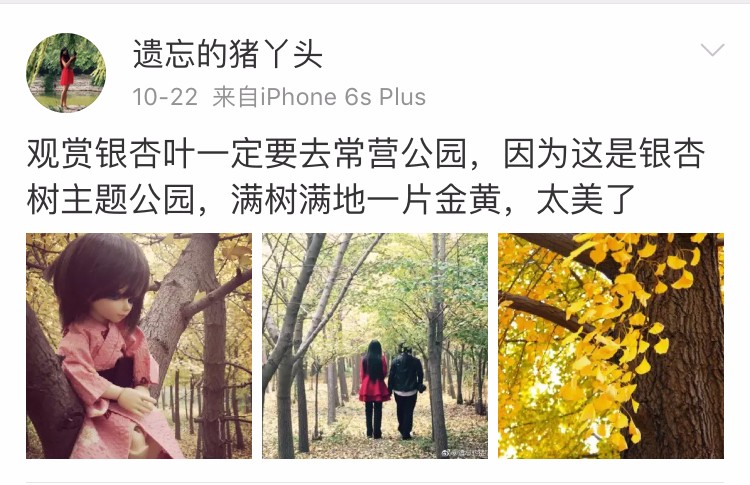 京城赏荷地图高清版,京城赏玉兰最全地图