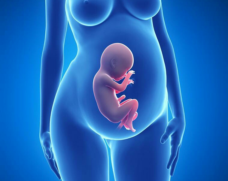 怀孕多久孕妇可以感觉到胎动,怀孕胎动位置示意图