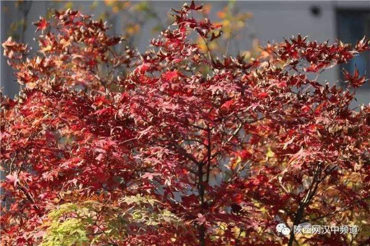 天气这么好，去汉中堂宏广场逛逛！