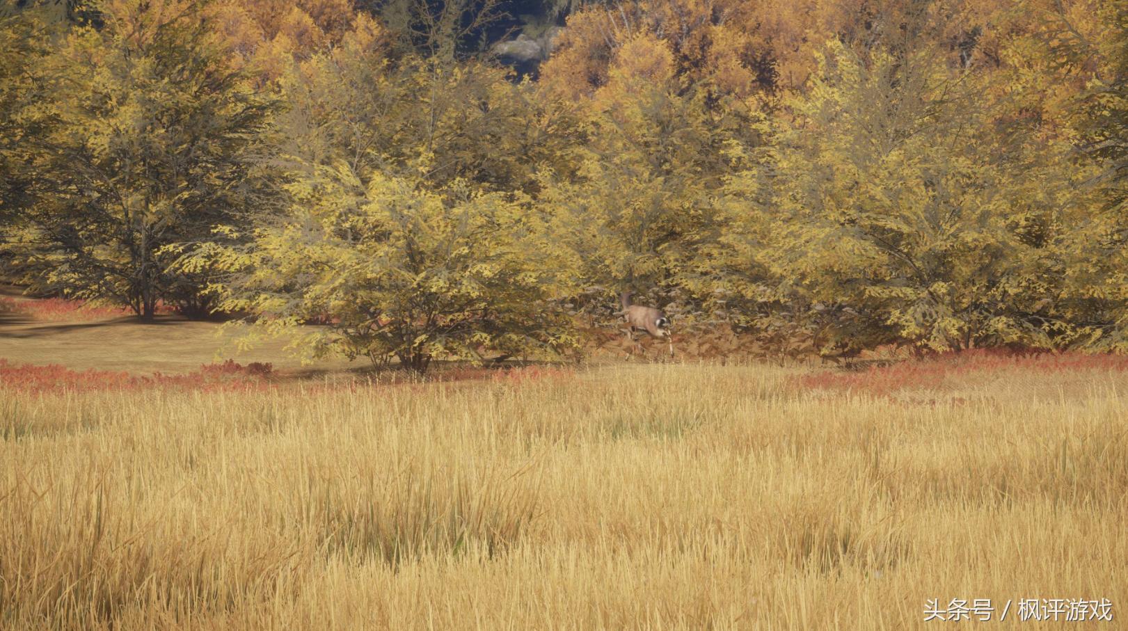 枫评游戏之《猎人野性的呼唤》：我欠这款硬核游戏一篇像样的测评