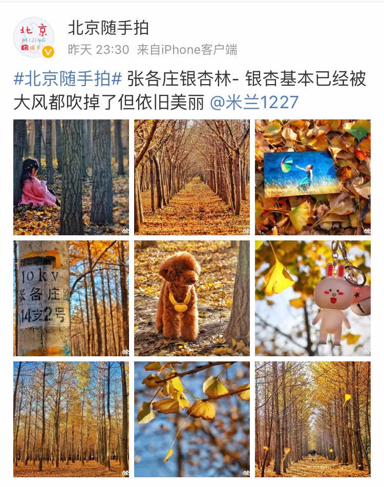 京城赏荷地图高清版,京城赏玉兰最全地图