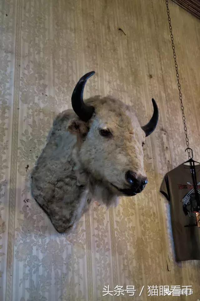 弗吉尼亚城,弗吉尼亚老城