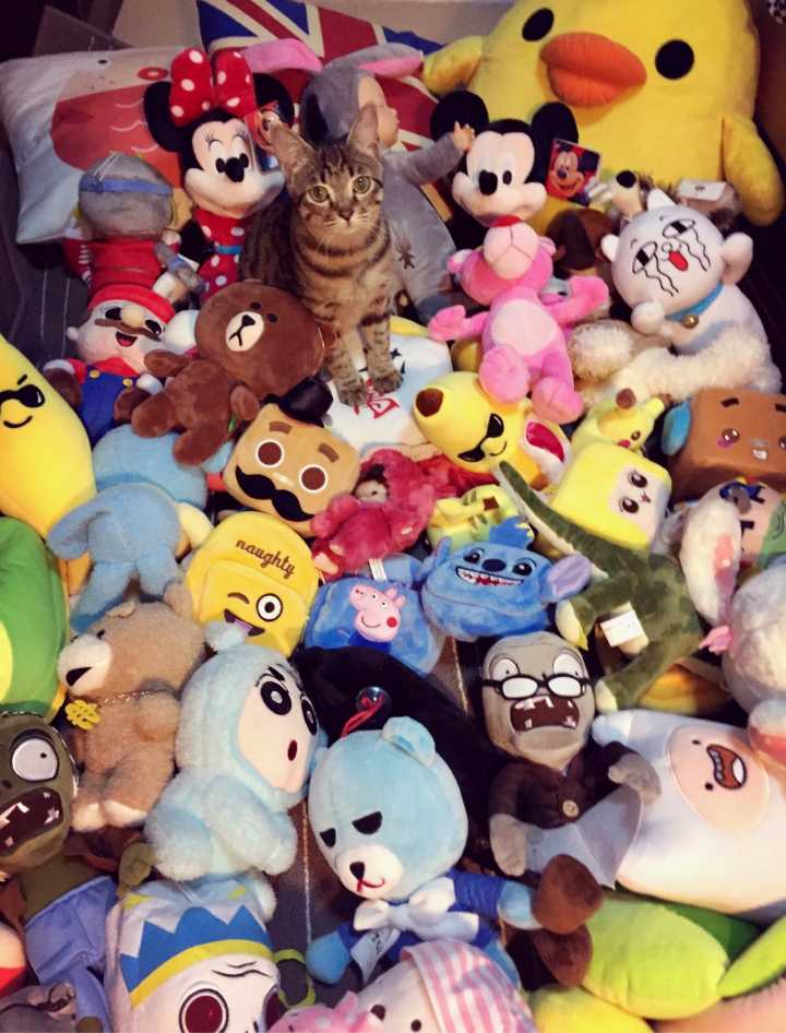 90后女孩出租屋改造日记,90后女孩买房子不装修