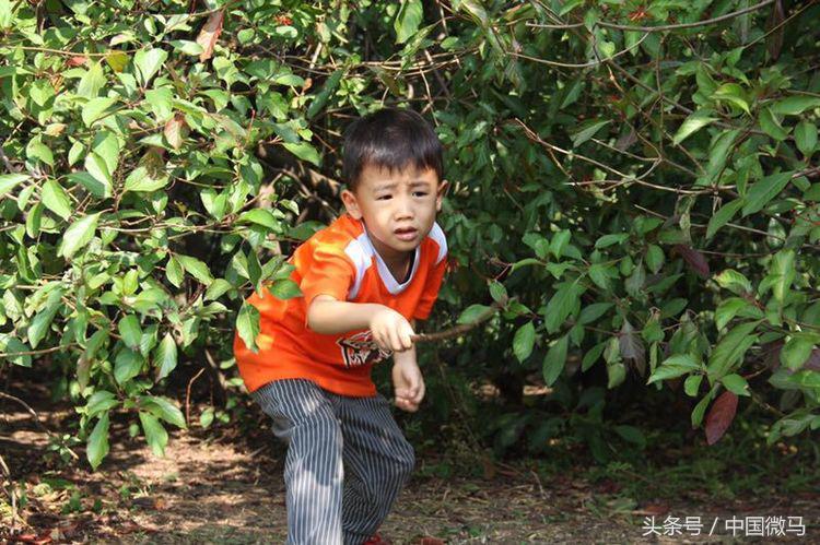 儿童足球队雄鹰,小小足球运动员早教课