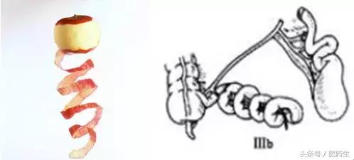 舌尖上的医疗,舌尖上的医疗篇