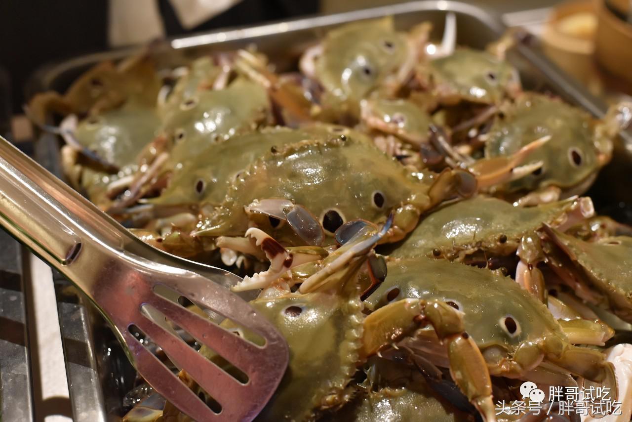 胖哥枣庄辣子鸡,枣庄胖哥吃龙虾视频