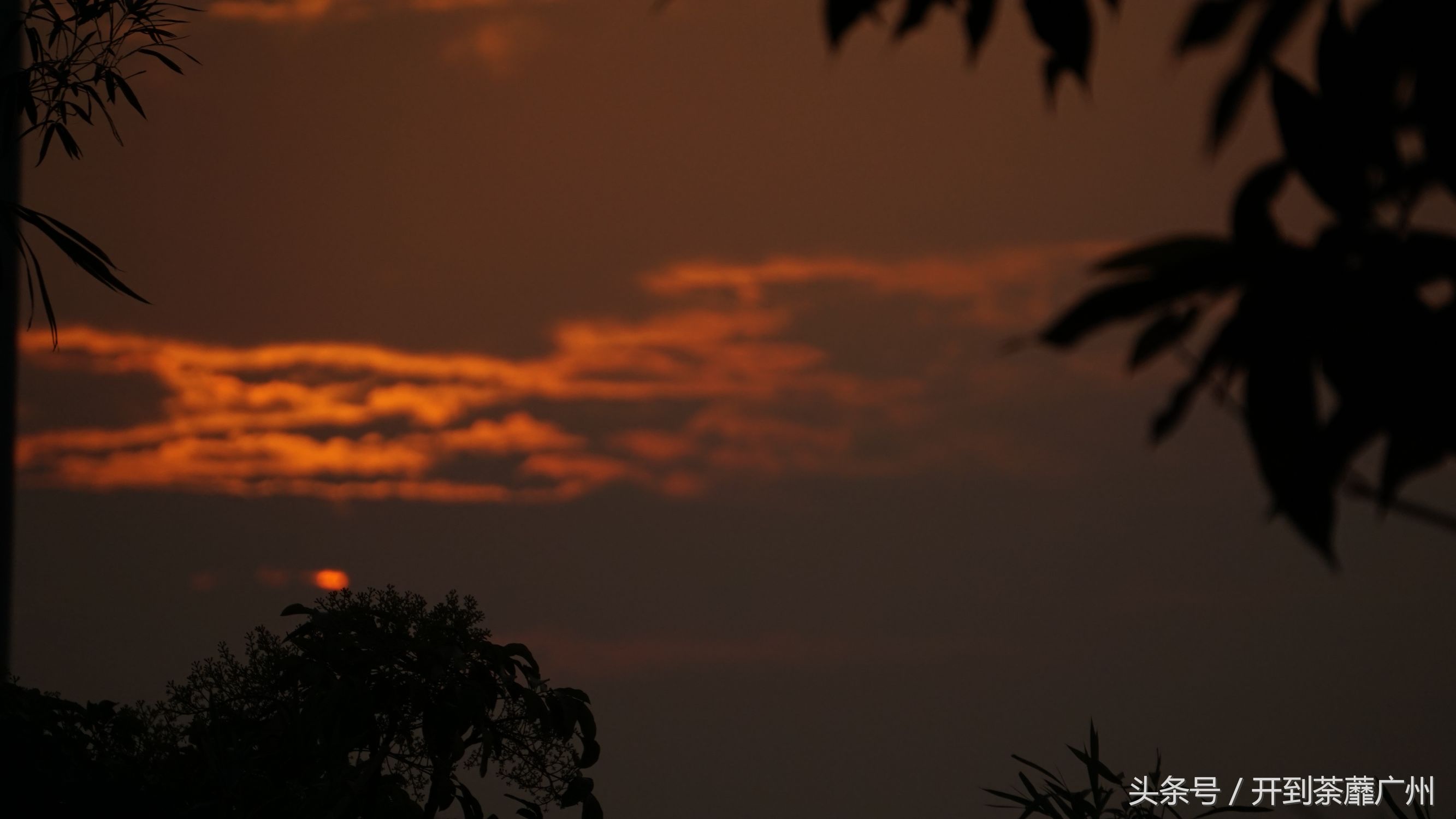 官洲岛：微凉初秋夕阳无限好天色已黄昏