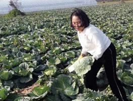 焦作失踪14岁女童已找到尸体,河南焦作俩小孩失踪