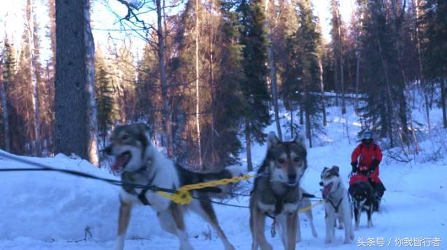 如何在暴风雪中生存,下雪天挡雪的方法