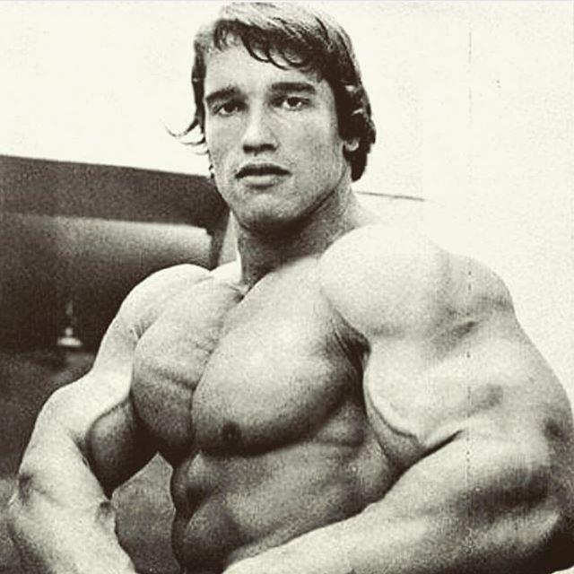 鍝戦搩鍋ヨ韩鑲岃倝璁粌鍔ㄤ綔,鍦ㄥ鍝戦搩鍋ヨ韩鑲岃倝璁粌