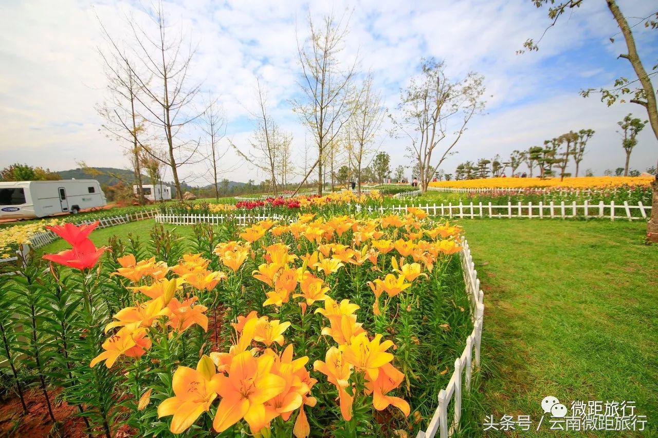 春节免费开放弥勒太平湖森林公园,弥勒太平湖森林公园6月去有花吗