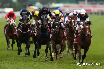 想试试赌马的运气？此攻略带你玩转墨尔本赛马节！