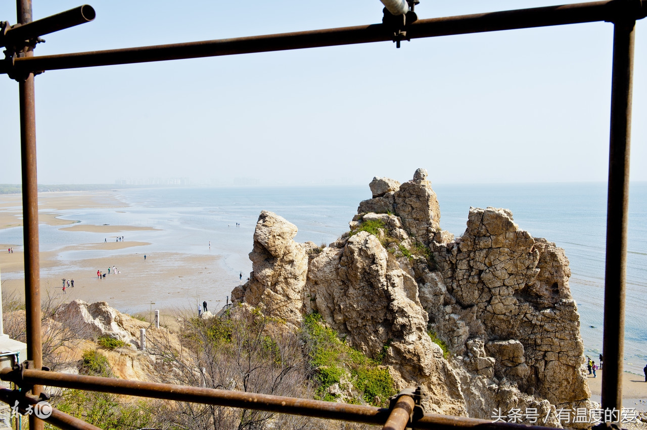 用什么方法防止鸽子得疾病,冬季鸽子平常预防喂什么药