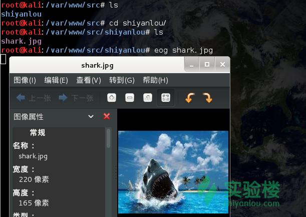 php个人项目运营,php投资项目