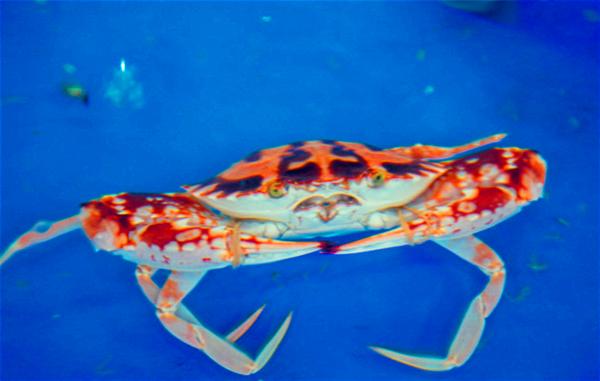 偶遇阳光、海滩在三亚