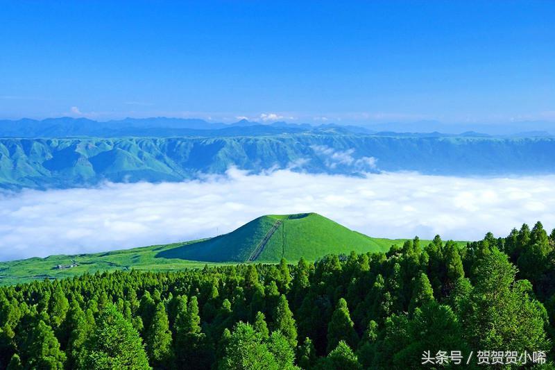 游轮旅行日本攻略,坐游轮去日本大概需要多少钱