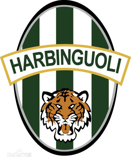 哈尔滨17年足球联赛,哈尔滨足球队最厉害的