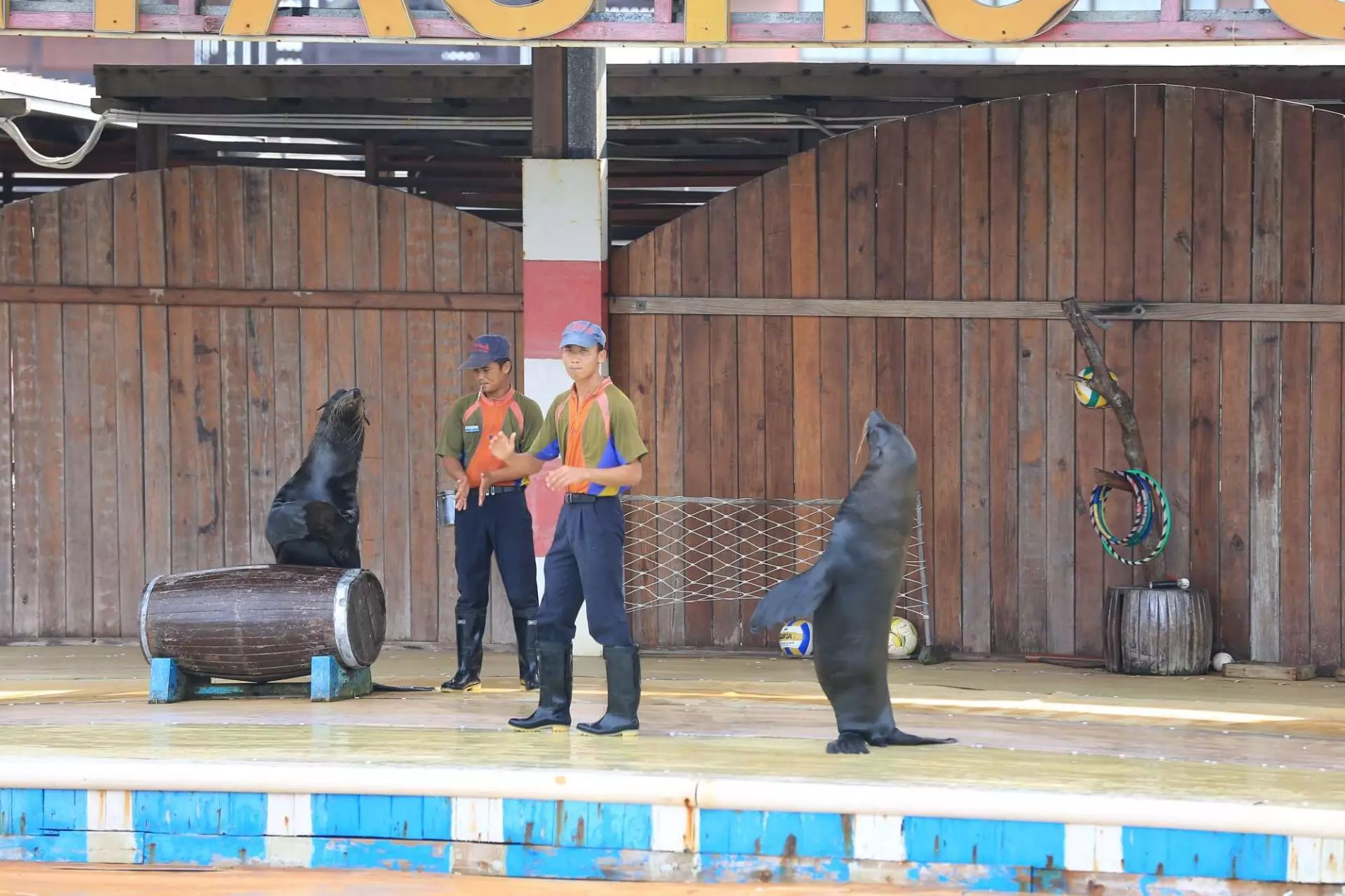 陵水一日游必去的景点,陵水一日游自由行