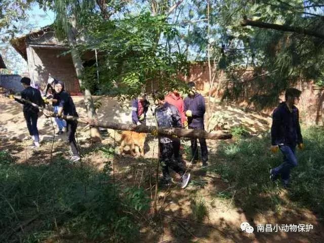 大量人口涌入大城市原因,大量人口涌入城市