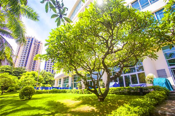 偶遇阳光、海滩在三亚