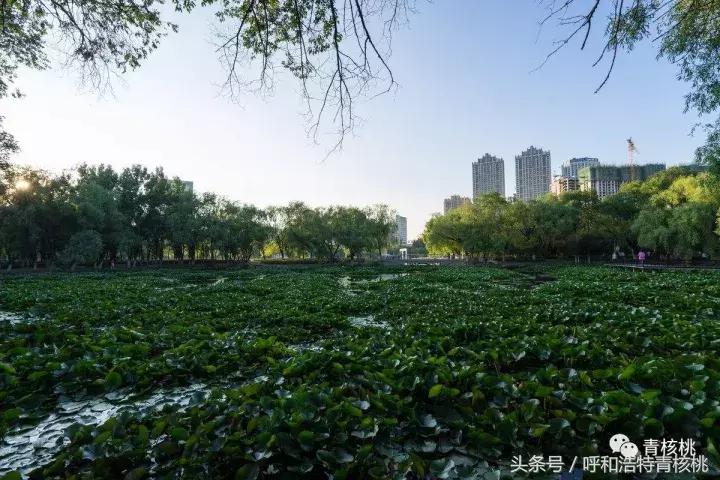 大家好这是我的家英文,大家好这是我的家图片卡通