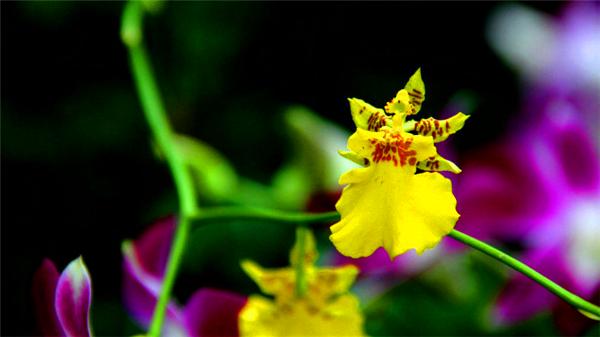 偶遇阳光、海滩在三亚