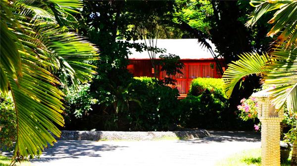 偶遇阳光、海滩在三亚