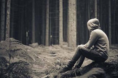 你有故事我有酒下一句怎么说,你有故事我有酒这本书讲了什么