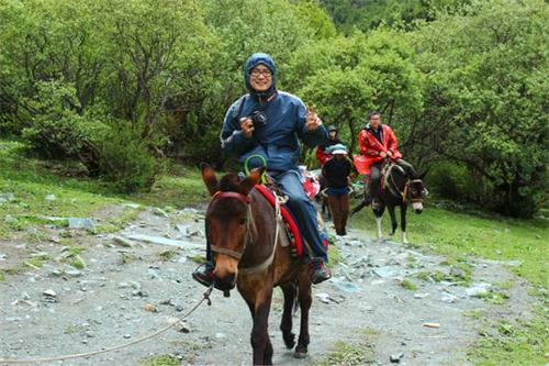 稻城亚丁景区骑马多少钱一人,去稻城亚丁骑马多少钱