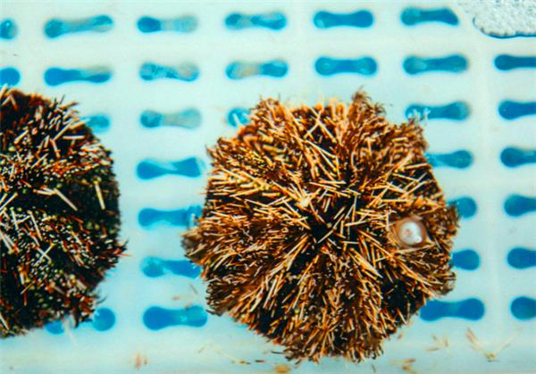 偶遇阳光、海滩在三亚