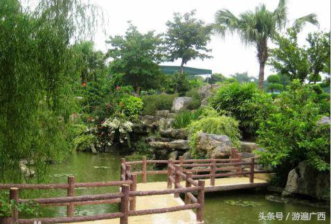 南宁三塘免费景点,南宁十大免费旅游景点