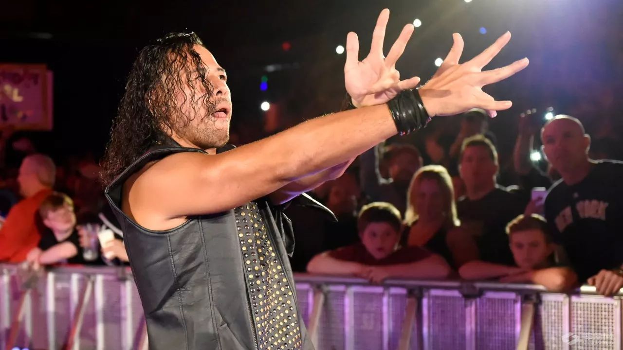 世界最强wwe布洛克,wwe布洛克输得最彻底的一次